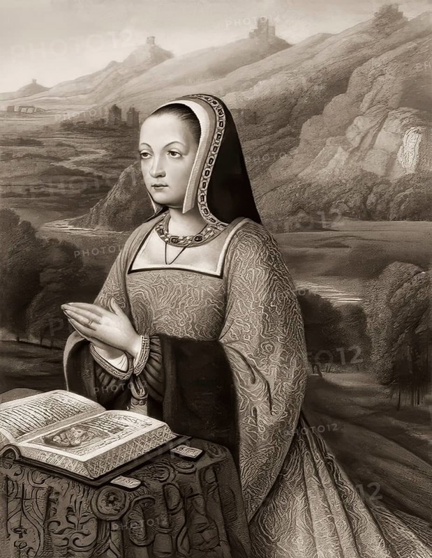 Queen Anne of Brittany, digitally altered