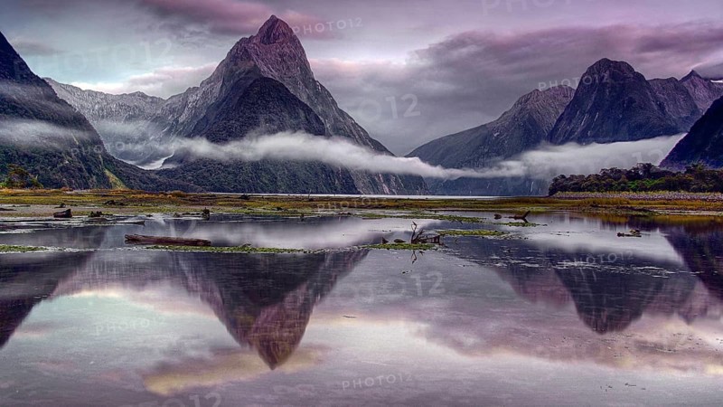 New Zealand, South Island, Milford Sound, landscape, water