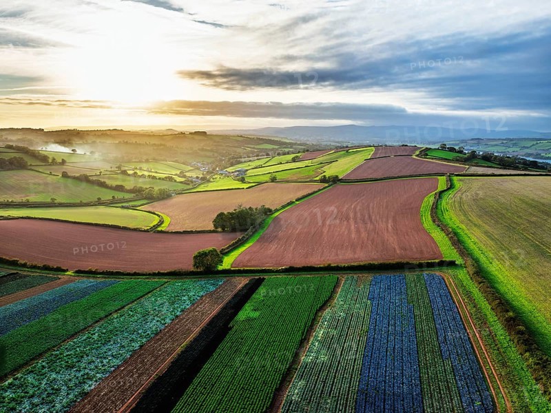 Colours of autumn Fields and Farms over Sheldon from a drone, Torbay, Devon, England, United Kingdom