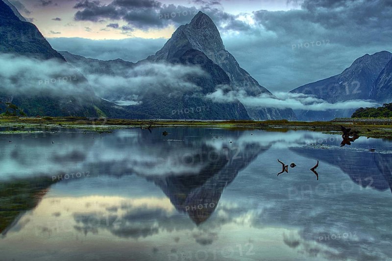 New Zealand, South Island, Milford Sound, fog, morning light, landscape, waters