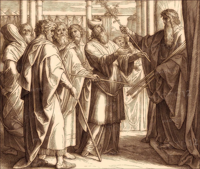 The Blossoming of Aaron's Rod, Old Testament, by Julius Schnorr von Carolsfeld, 1860