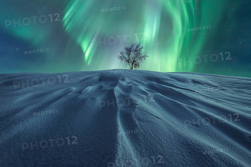 A solitary tree stands on windswept, snow-clad hill beneath a brilliant display of green Northern Lights, illuminating a starry winter night sky