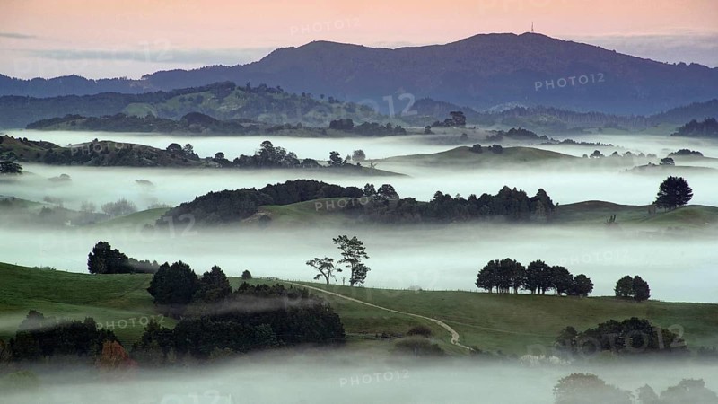 New Zealand, North Island, landscape in morning fog, North Island, North Island, New Zealand