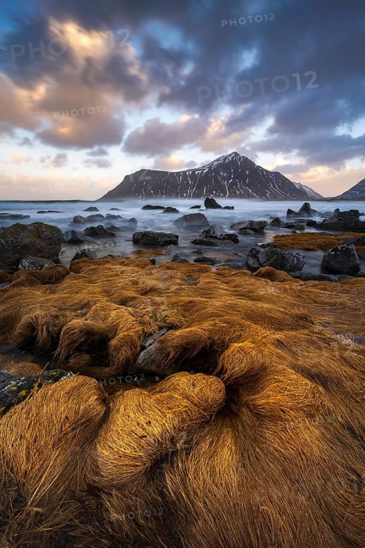 Coast near Skagsanden beach, Flakstad, Lofoten, Norway