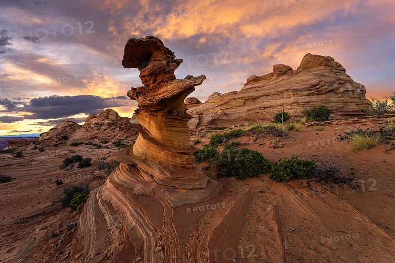 A stunning sunset casts warm hues over the distinctive swirls and layers of sandstone rock formations at Coyote Buttes in the Paria Canyon-Vermilion Cliffs Wilderness, Arizona, USA