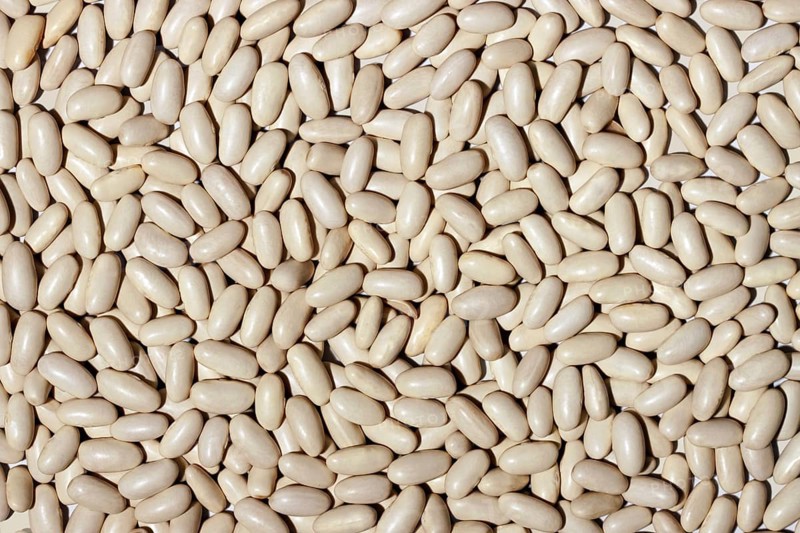 A closely packed, high-resolution image showing a multitude of white beans covering the entire frame, providing a detailed texture ideal for backgrounds