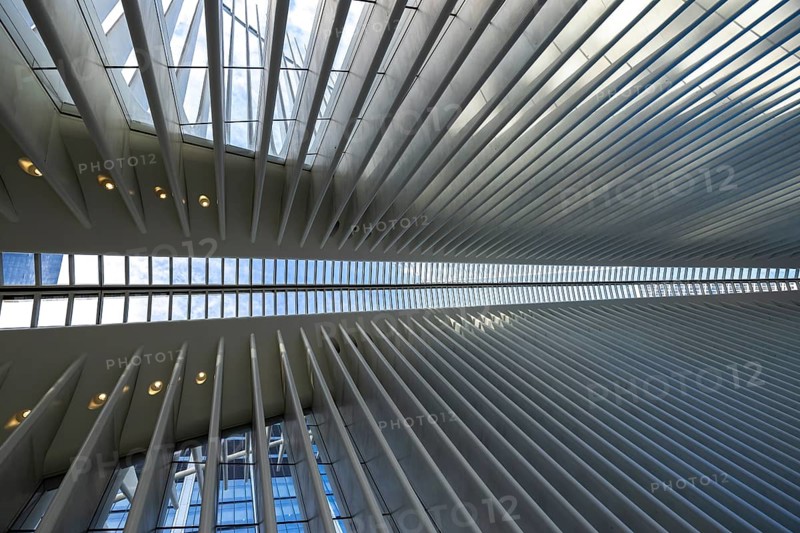 Modern architectural interior featuring repeated linear patterns and daylight streaming through the overhead structure, highlighting the dynamics of design and natural light interaction in a New York building