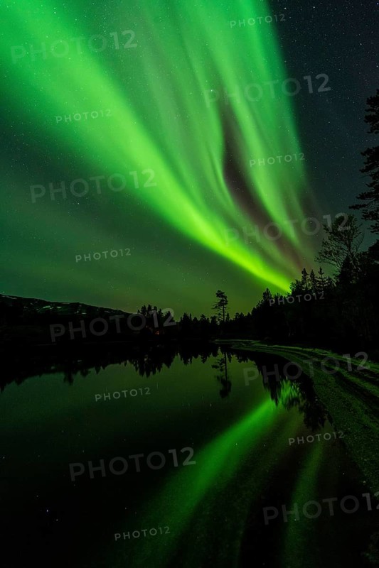 Northern Lights (Aurora borealis) reflected in a lake, Rago National Park, Nordland, Norway, Scandinavia