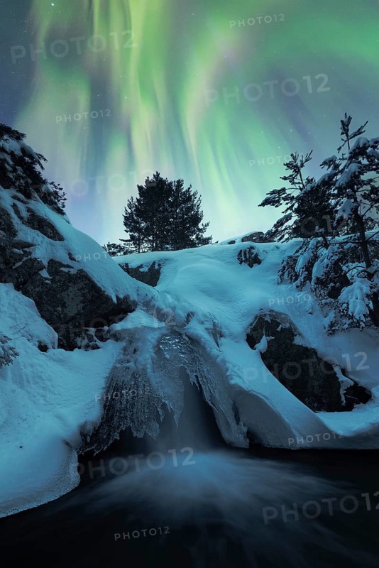 The serene beauty of the northern lights arching through a starry sky above a snow-covered landscape and a cascading river. Winter pines peek through the icy terrain under the celestial display