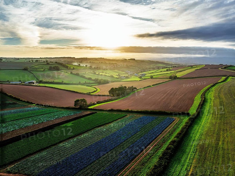Colours of autumn Fields and Farms over Sheldon from a drone, Torbay, Devon, England, United Kingdom
