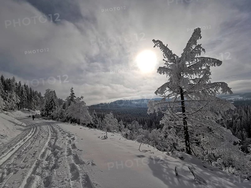 Snowy landscape with path under the sun, winter peace, Rennsteig, Thuringian Forest