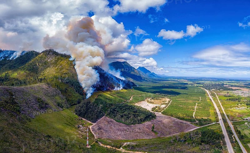 Landscape in South Africa, forest fire, fire, smoke, flames, burning forest, N2, Kou-Kamma Ward 6, Thornham, Kou-Kamma Local Municipality, Eastern Cape, South Africa