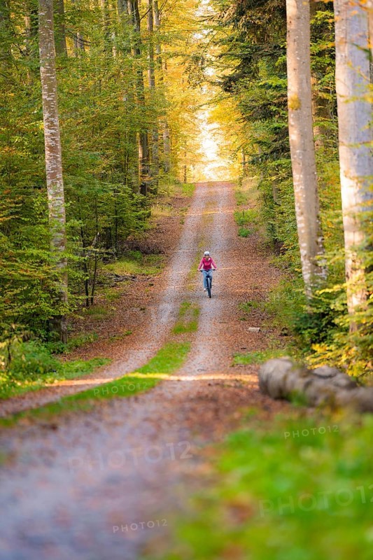 Woman riding her ebike through the autumn forest, Black Forest, Gechingen, Germany