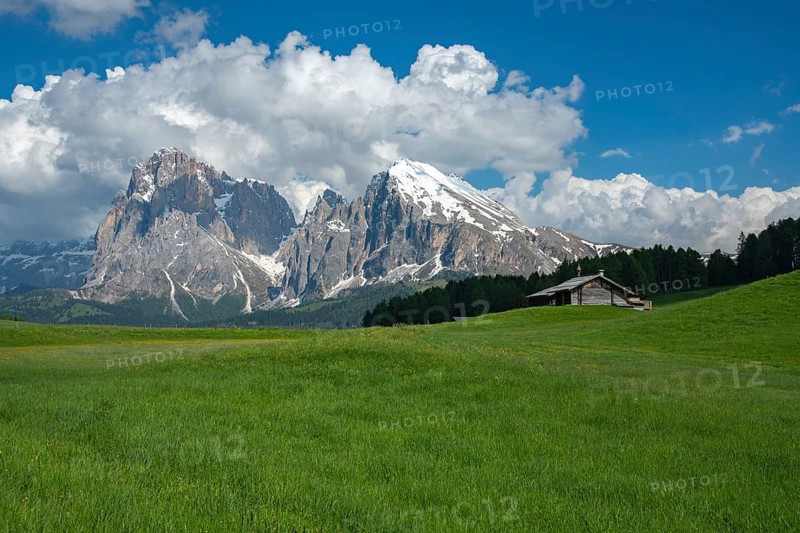 Stunning view of Alpe di Siusi in the Dolomites, Italy, showcasing lush green meadows under a clear blue sky and majestic snow-capped peaks. Perfect for nature lovers