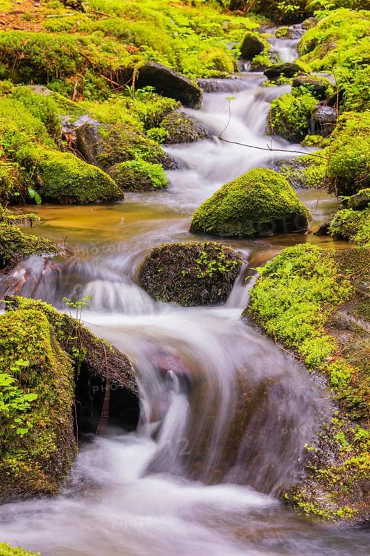 Little creek in the Bavarian Forest Nationalpark. Flowing water, little cascades, mossy stones and fresh green vegetation