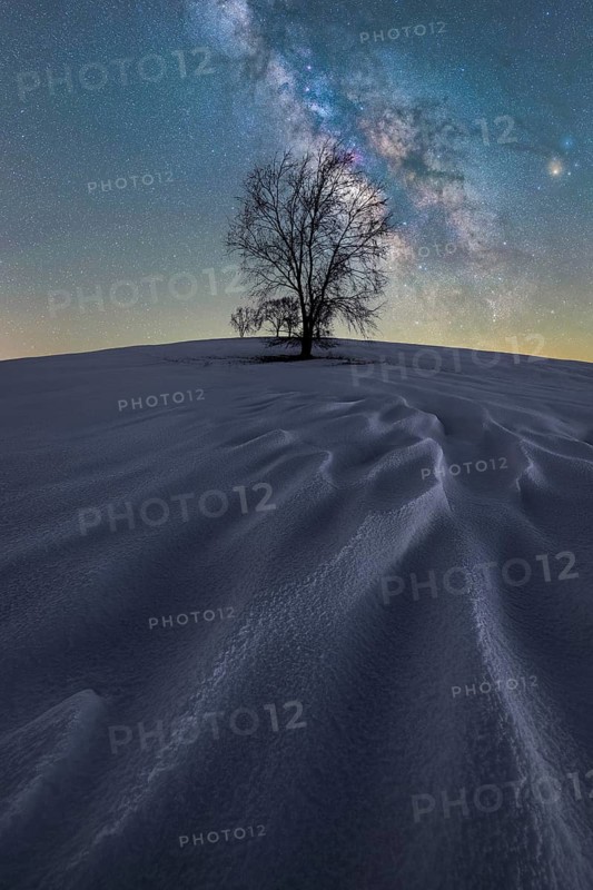 A solitary tree stands on a snow-covered hill under a vibrant night sky in Iceland The Milky Way arcs above, illuminating the serene winter landscape