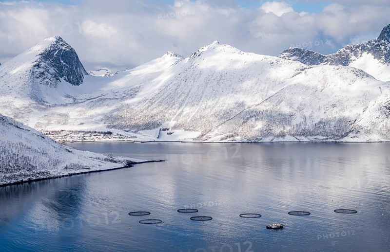 Aerial view of a fish farm in the waters of Husoy, Norway, surrounded by dramatic snow-covered mountains. The circular fish pens contrast with the serene arctic fjord, creating a unique scene