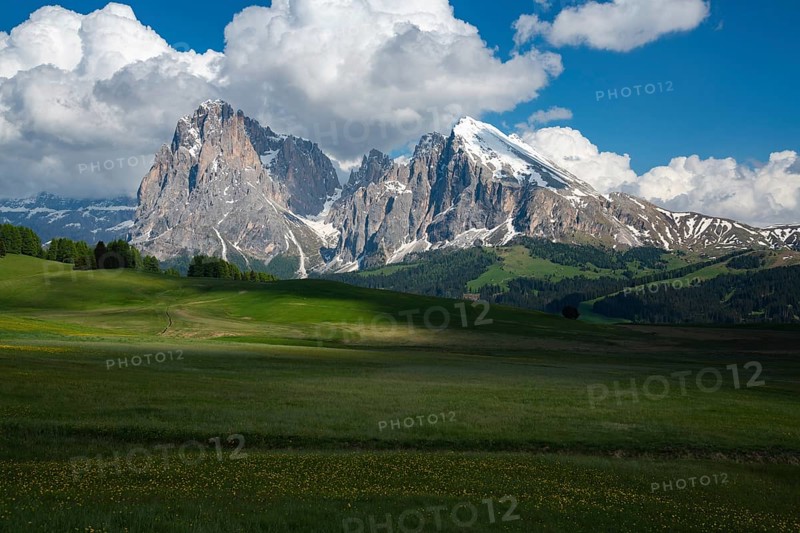 Alpe di Siusi in the Dolomites mountains of Italy offers a stunning landscape. Verdant meadows stretch beneath majestic peaks, showcasing nature's beauty and tranquility