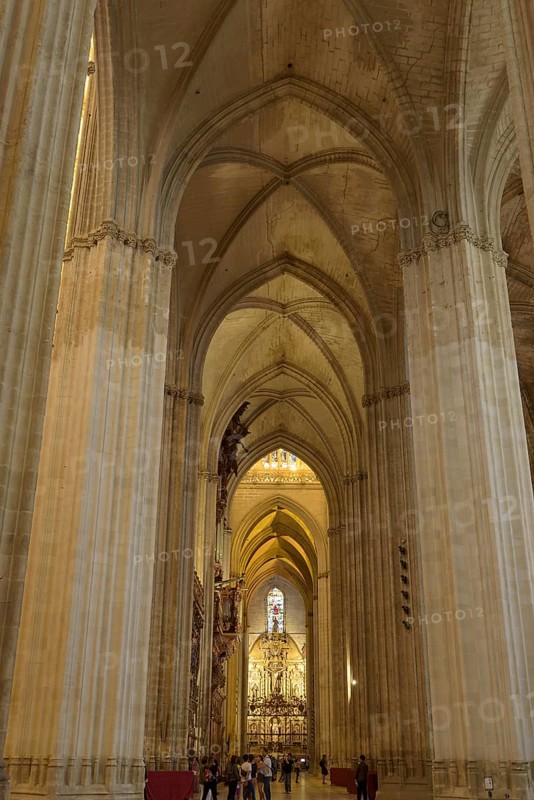 Elongated church tour with detailed Gothic vault, Seville, Andalusia, Spain
