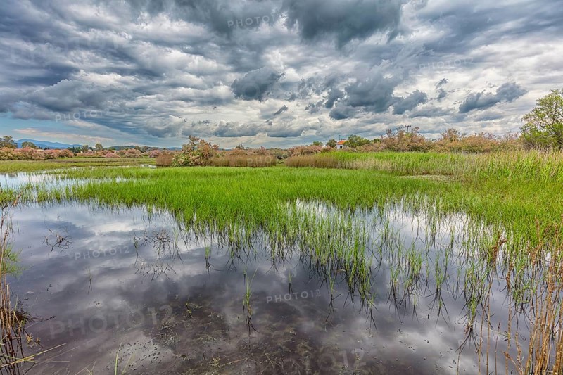 Landscape Greece, island Lesbos, thunderstorm, thunderstorm atmosphere, reed, biotope, water, nature, Lesbos, Greece