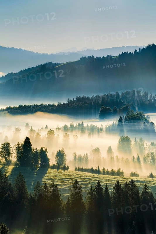 View over the Rothenthurm high moor in the canton of Schwyz, Switzerland