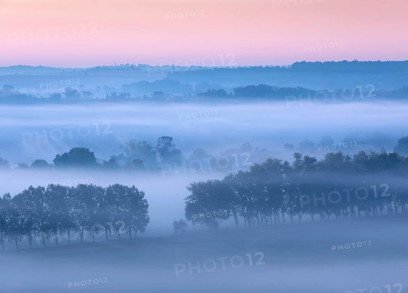 Morning atmosphere in the Saale Valley, fog passes through rows of trees at dawn in autumn, Naumburg, Saxony-Anhalt, Germany
