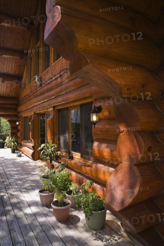 Brown reddish stained Scandinavian log cabin home facade with large chinked logs and grey wood plank veranda decorated with green plants in containers in summer, Quebec, Canada