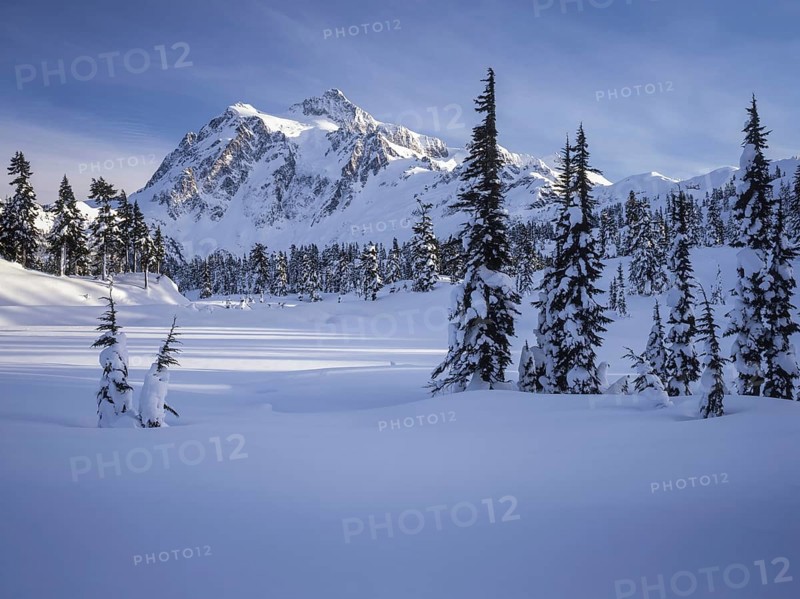 A stunning view of a snow covered mountain range under a clear blue sky, with tall evergreen trees scattered across the pristine white landscape