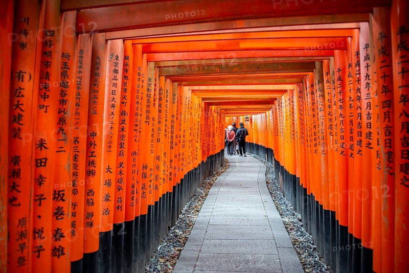 Walk through hundreds of red traditional torii gates, Fushimi Inari Taisha, Shinto Shrine, Fushimi Inari-taisha Okusha Hohaisho, Kyoto, Japan