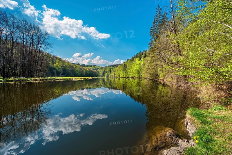 Spring on the river Saale, green forest and clouds are reflected, Burgk, Thuringia, Germany