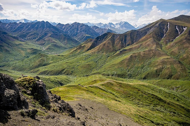 Tundra and mountainous landscape of the Alaska Range, Sable Pass, Denali National Park and Preserve, Alaska, USA