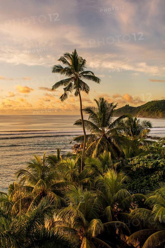Anse La Liberte beach, Mahe, Republic of Seychelles, Indian Ocean