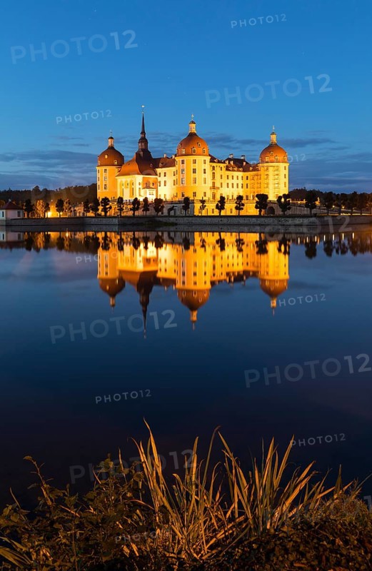 Moritzburg Castle at blue hour, Moritzburg, Meißen County, Saxony, Germany
