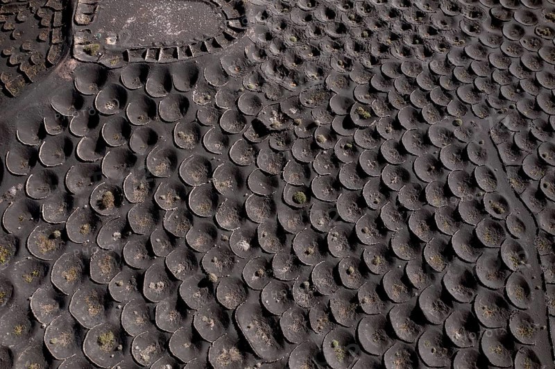Aerial view of black volcanic soil gridded with circular sunken pits used for grape cultivation, showcasing traditional viticulture techniques in La Geria, Lanzarote