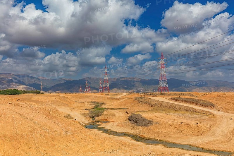 Landscape Oman, Raysut Waste Water Treatment Plant, Tree, Palm, Building, Steppe Eagle, Aquila nipalensis, Aigle des steppes, ¡guila Esteparia, Biotope, Raysut Waste Disposal, Salalah, Dhofar, Oman