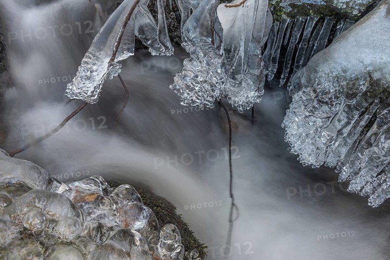 Branches are covered with ice near the river. The water flows gently and forms ice formations on the land and between the rocks. Upper Rhine, Vosges, Alsace, France