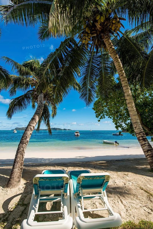 Anse Government beach at Hotel L'Archipel Resort, Praslin, Republic of Seychelles, Indian Ocean