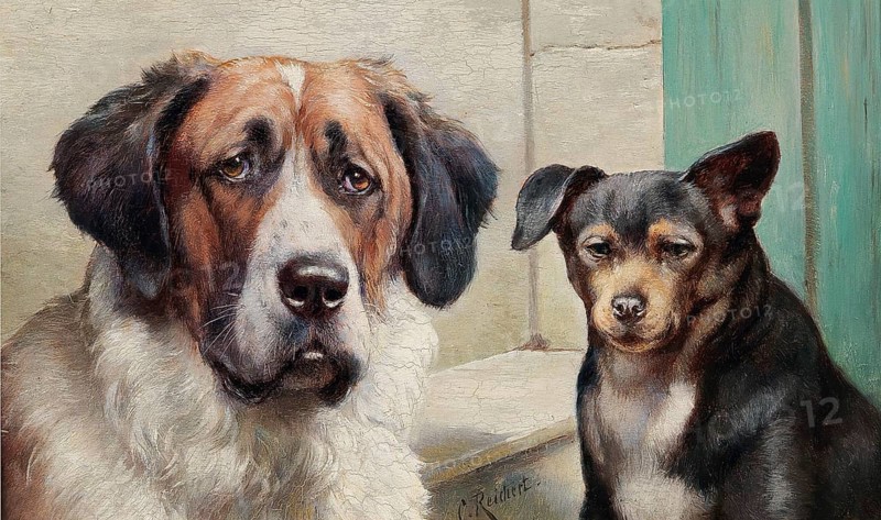 Carl Reichert, Karl Reichert, pseudonym J. Hartung (born 27 August 1836 in Vienna, died 5 April 1918 in Graz) . Austrian painter, especially landscape painter and animal painter. Here his work:, Melancholic, Phlegmatic, St Bernard and a smaller dark dog next to each other, calm, thoughtful mood, matching the characteristics of the depicted dog breeds, Painting, Reproduction of the painting, Work of art, Historical