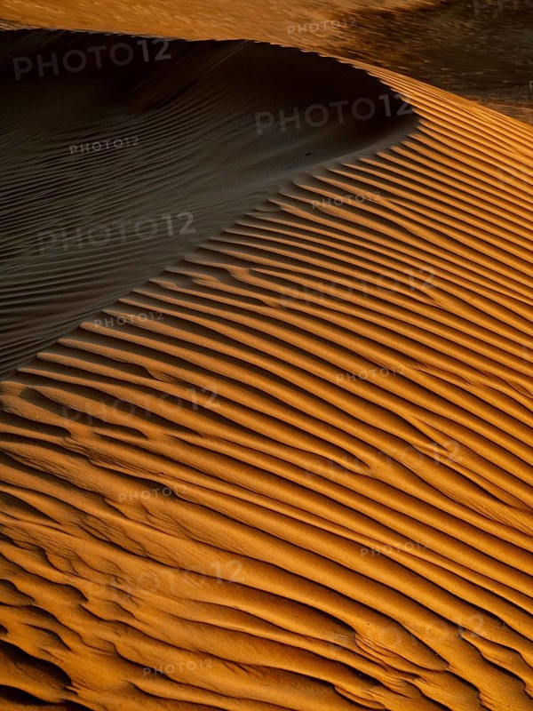 Sand dunes in the Rhub al Khali desert, detailed view, empty quarter, largest sandy desert in the world, Oman