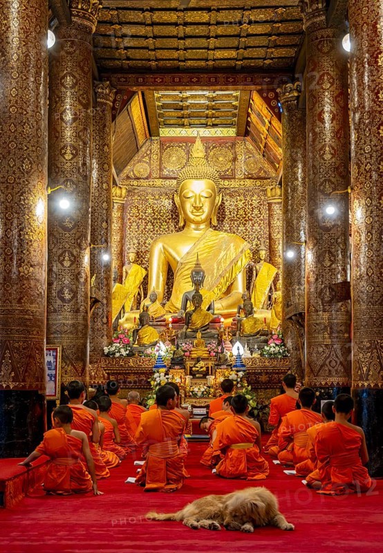 Buddhist monks praying at Wat Xieng Thong Sim ordination hall, Luang Prabang, Laos
