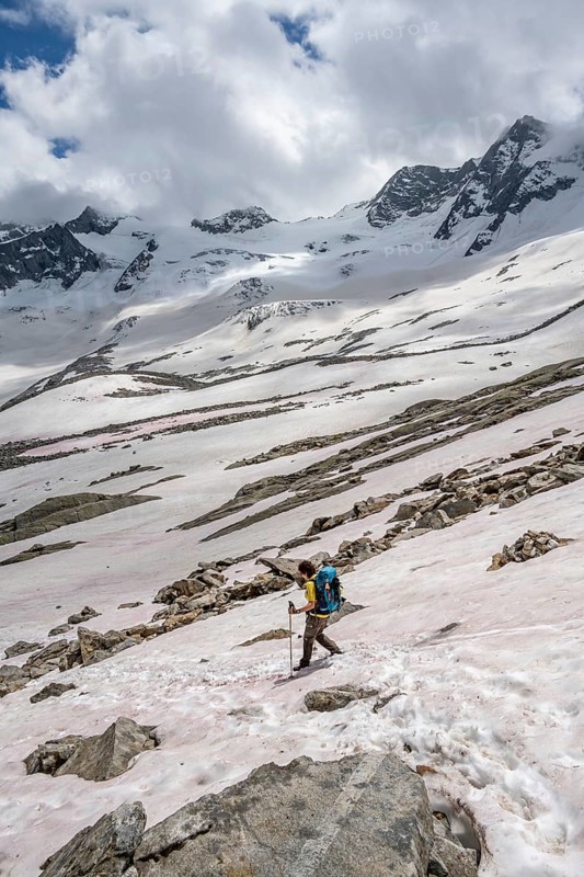 Mountaineer on a snowfield, descent from the summit of Schönbichler Horn, view of snow-covered and glaciated mountain landscape with summit Großer Möseler, Berliner Höhenweg, Zillertal Alps, Tyrol, Austria