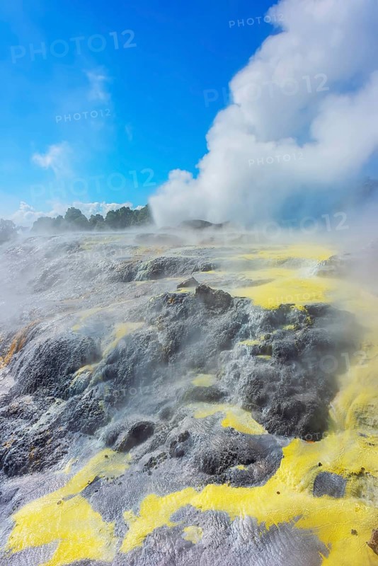 Prince of Wales and Pohutu geysers erupting, Te Puia Thermal Valley, Rotorua, Bay of Plenty, North Island, New Zealand