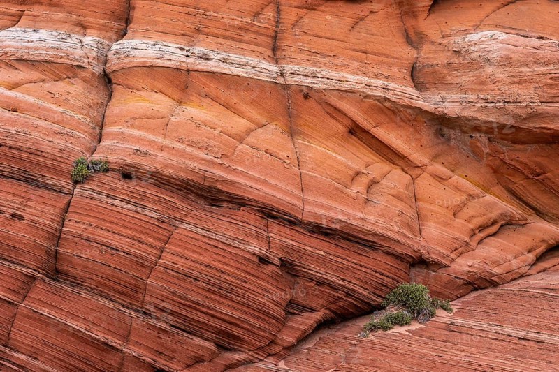 Close-up view of a weathered sandstone formation displaying natural abstract textures and rich earthy tones, showcasing layers and patterns created by geological processes