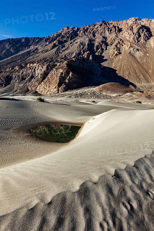 Sand dunes in Nubra valley in Himalayas. Hunder, Nubra valley, Ladakh