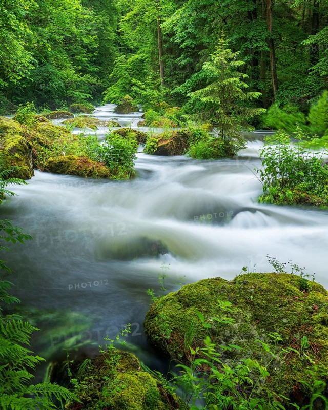 White water and rapids on the Trieb stream in the Triebtal nature reserve in Vogtland, Plauen, Saxony, Germany