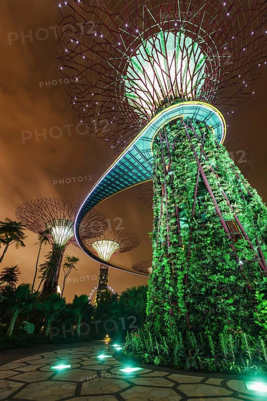 SINGAPORE, DECEMBER 31, 2013: Night view of Supertree Grove at Gardens by the Bay. Futuristic park spans 101 hectares is to become Singapore premier urban outdoor recreation space and national icon