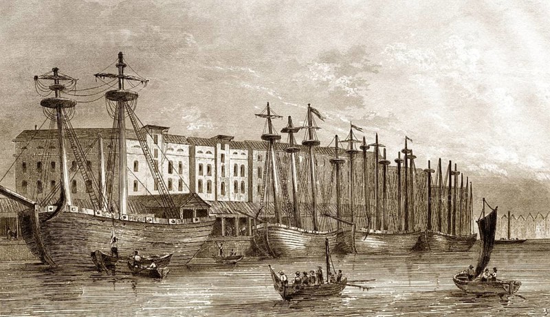 Die West India Docks, Isle of Dogs in London, England, 19. Jahrhundert