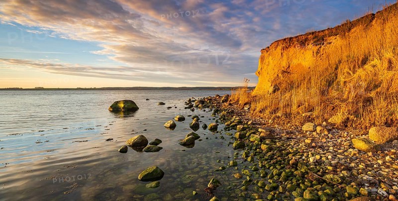 Rocky beach with boulders on the cliffs of the Bay of Greifswald in the evening light, Mönchgut nature reserve, Groß Zicker, Mönchgut peninsula, Rügen island, Mecklenburg-Western Pomerania, Germany
