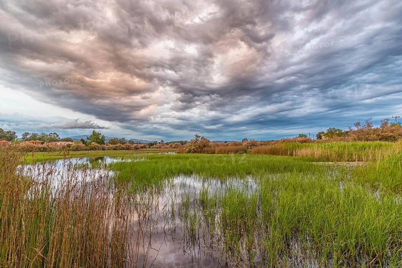 Landscape Greece, reeds, Kalloni Pool, Lesbos Island, Greece, cloudy mood Lesbos