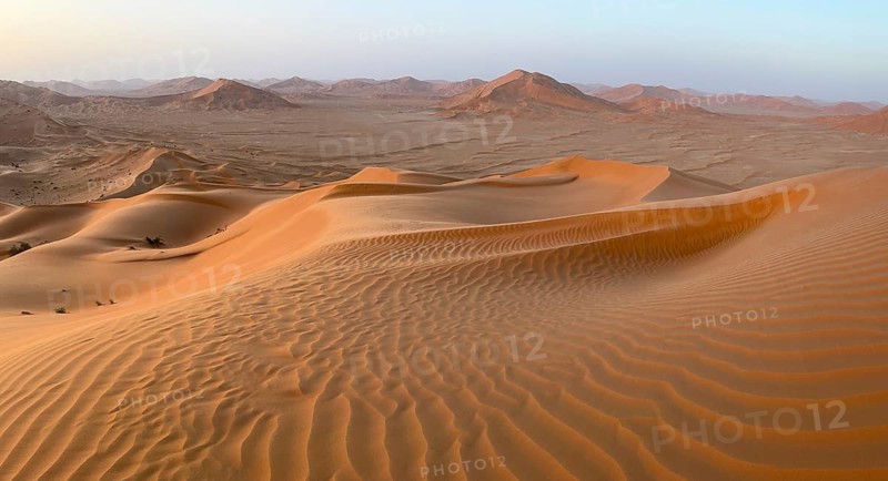 Sand dunes in the Rhub al Khali desert, empty quarter, largest sandy desert in the world, Oman